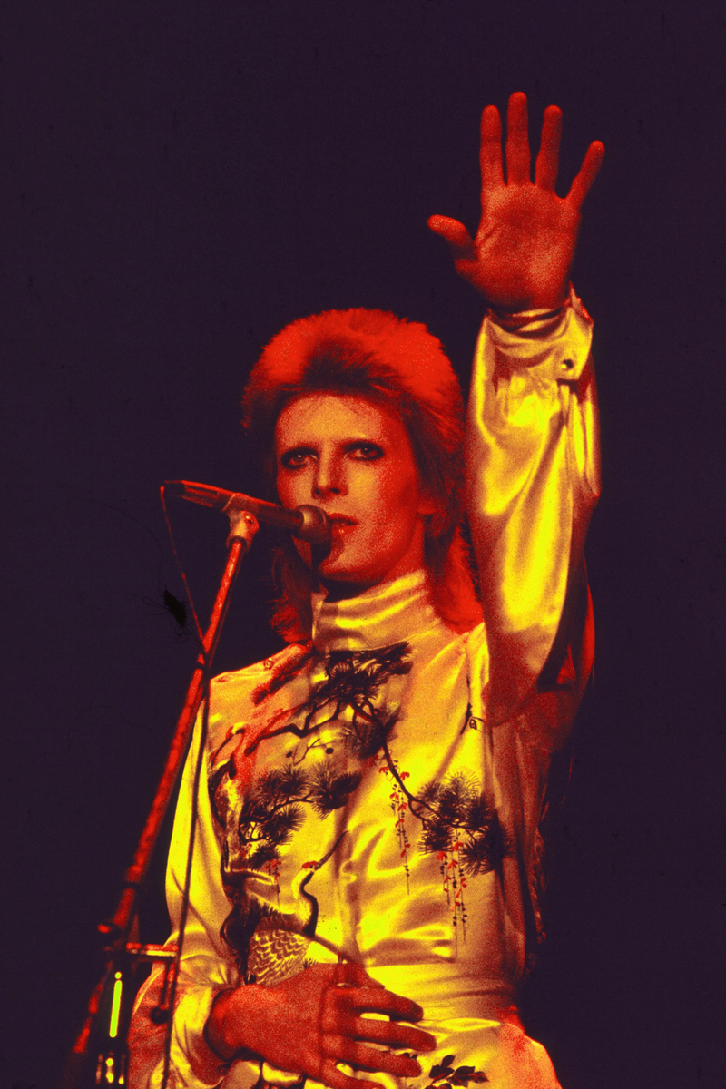 David Bowie, Vintage, Musician from the 70s Poster | eBay