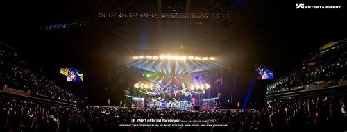 2NE1 NEW EVOLUTION IN SEOUL 2012 GLOBAL TOUR LIVE Album CD+Booklet K-POP SEALED - Foto 3 di 8