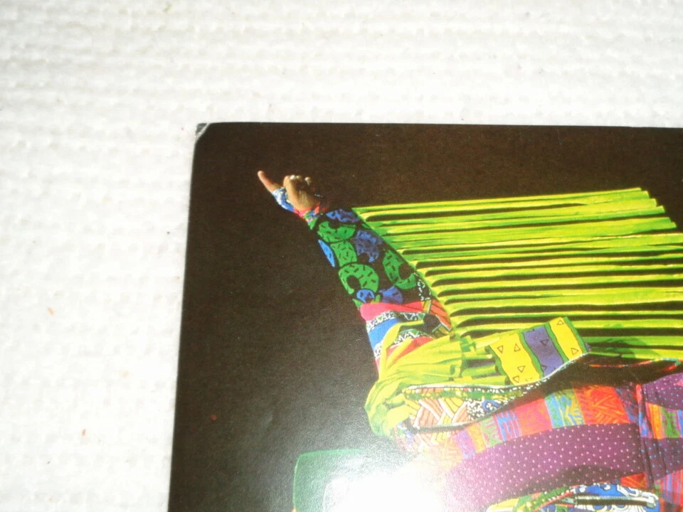 Foto promocional original de Randy Savage Macho Man WWF Wrestling Foto 3 de 3