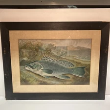 Samuel A Kilbourne Still Life Chromolithograph Fish Print in an Oak Frame