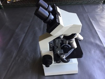 OMAX 40X 1000X Lab-Grade Microscope with Oil Immersion Objective Digital Camera