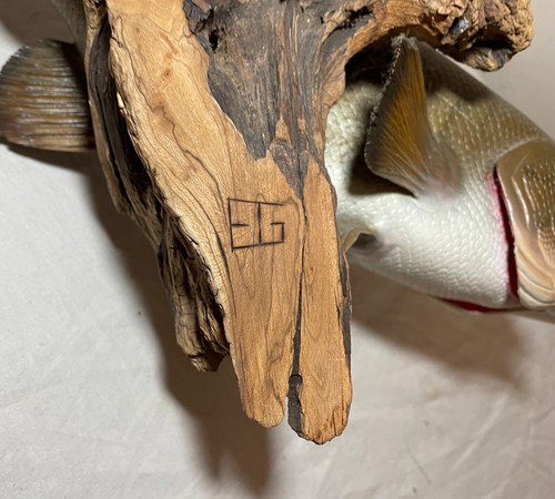 vintage handmade EG carved wood smallmouth bass wall fish mount trophy sculpture - Picture 12 of 20