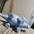 Picture 5 of 5