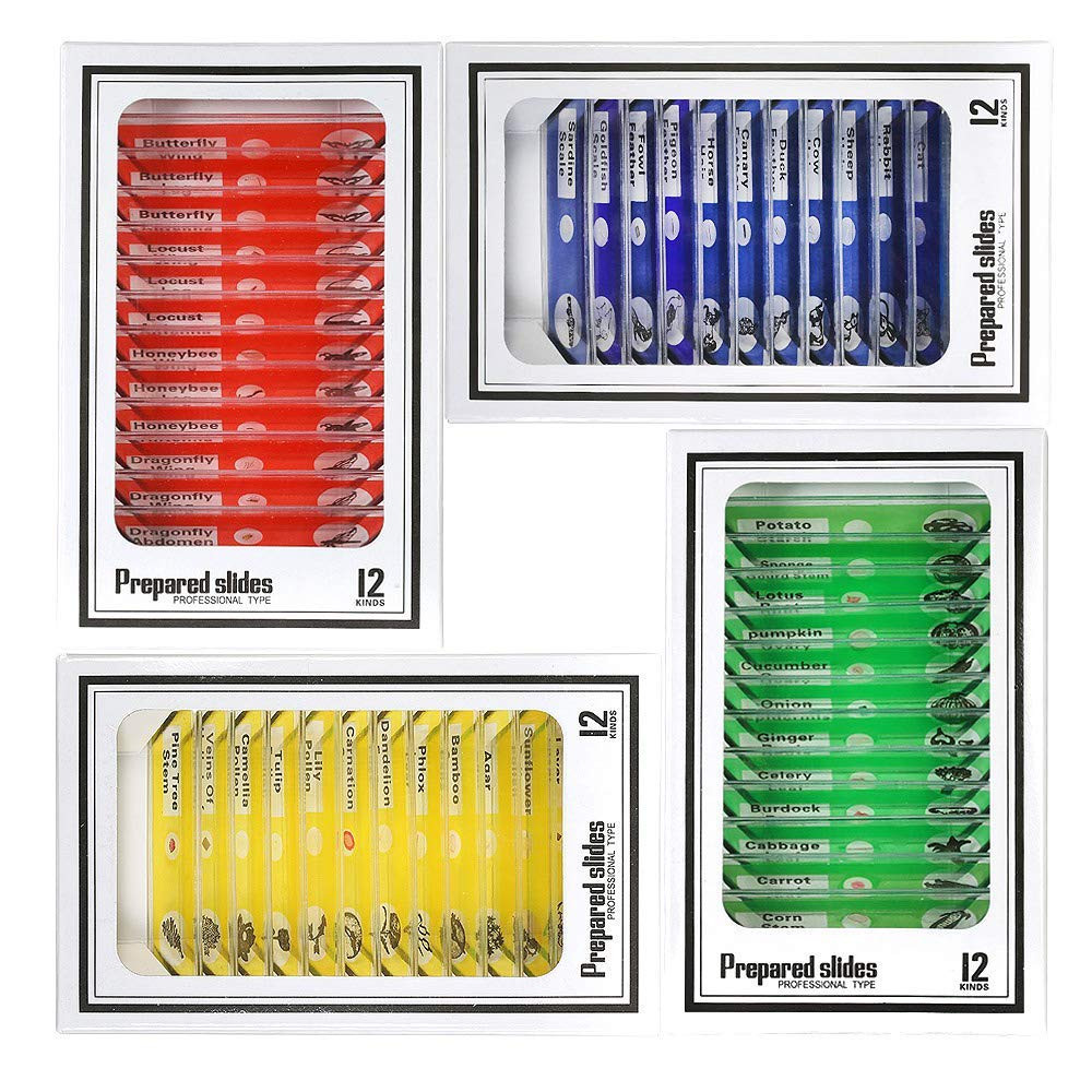 48pcs Prepared Microscope Slides for Kids Animals Insects Plants Biology Science