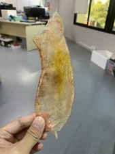 Australia Dried Fish Maw/Bladders / 澳洲花膠/花胶 1KG