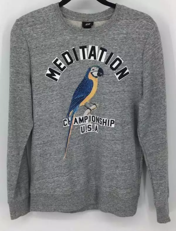 H&m usa sweatshirt new arrivals