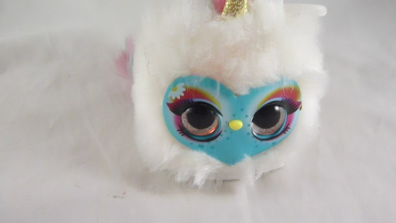 Bild 6 von 6