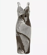 Express Dress Size 4