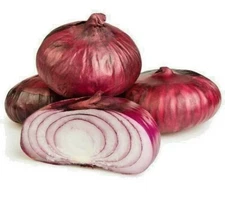5000+ Onion seed RED CIPPOLINI ONION Seed pack NON-GMO USA Onion seed heirloom