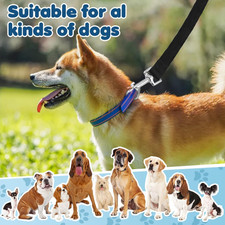 Lunghina Per Cani 10 Metri - Guinzaglio Lungo Addestramento, Nylon Resistente, Moschettone 360&deg;, Manico Imbottito