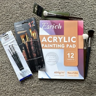 Esrich, Master's Touch, Curate Colour Artist Brushes missing Pack  Shapes  Lot