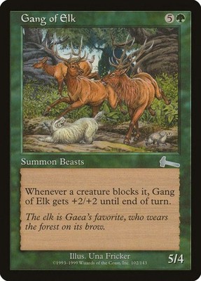Gang of Elk (102)
