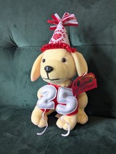 NWT Raising Canes 25th Anniversary Birthday Plush Dog Golden Retriever 11''