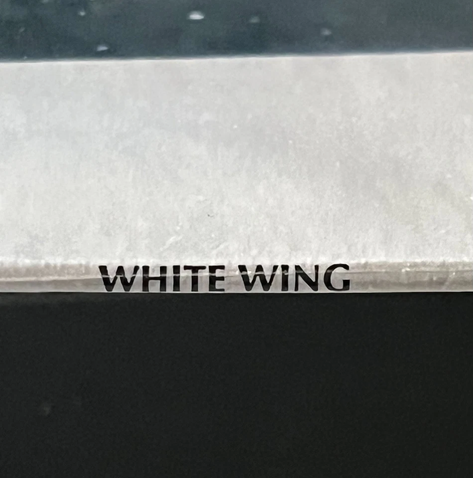 SEALED original 1976 White Wing LP on ASI • private prog-psych • Whiplash mailer - Image 3 of 3