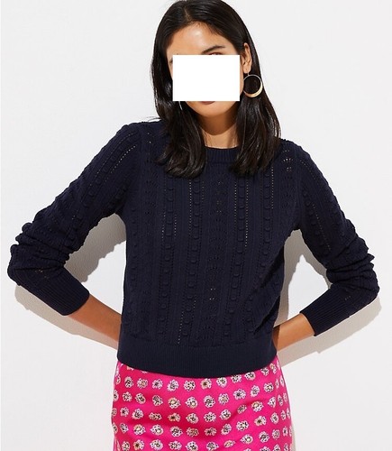 ANN TAYLOR LOFT BOBBLE Cropped SWEATER 