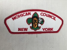 Mohican Council T1 gauze back BSA CSP Patch