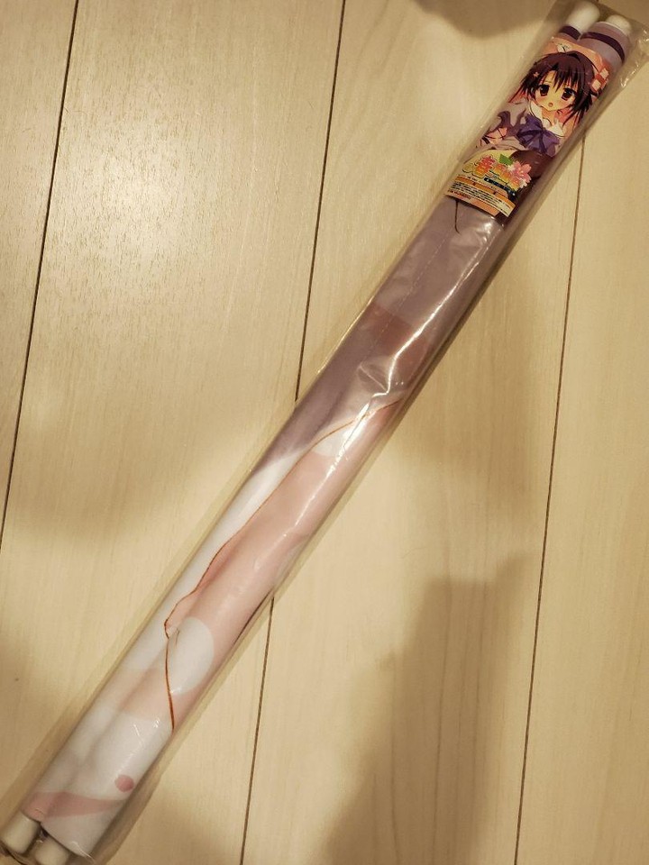 M19/Tapestry Ryoka Japan Anime Game Collector Manga Comics movie eBay