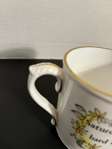 Royal Worcester "Saturday's Child Works Hard For It's Living" Bone China Mug - Picture 3 of 6