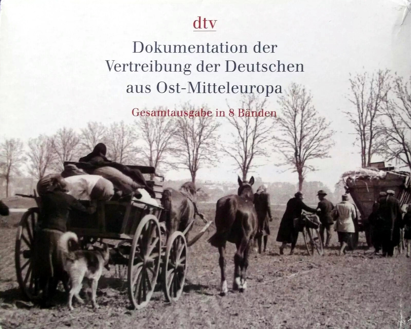 Bild 1 von 17