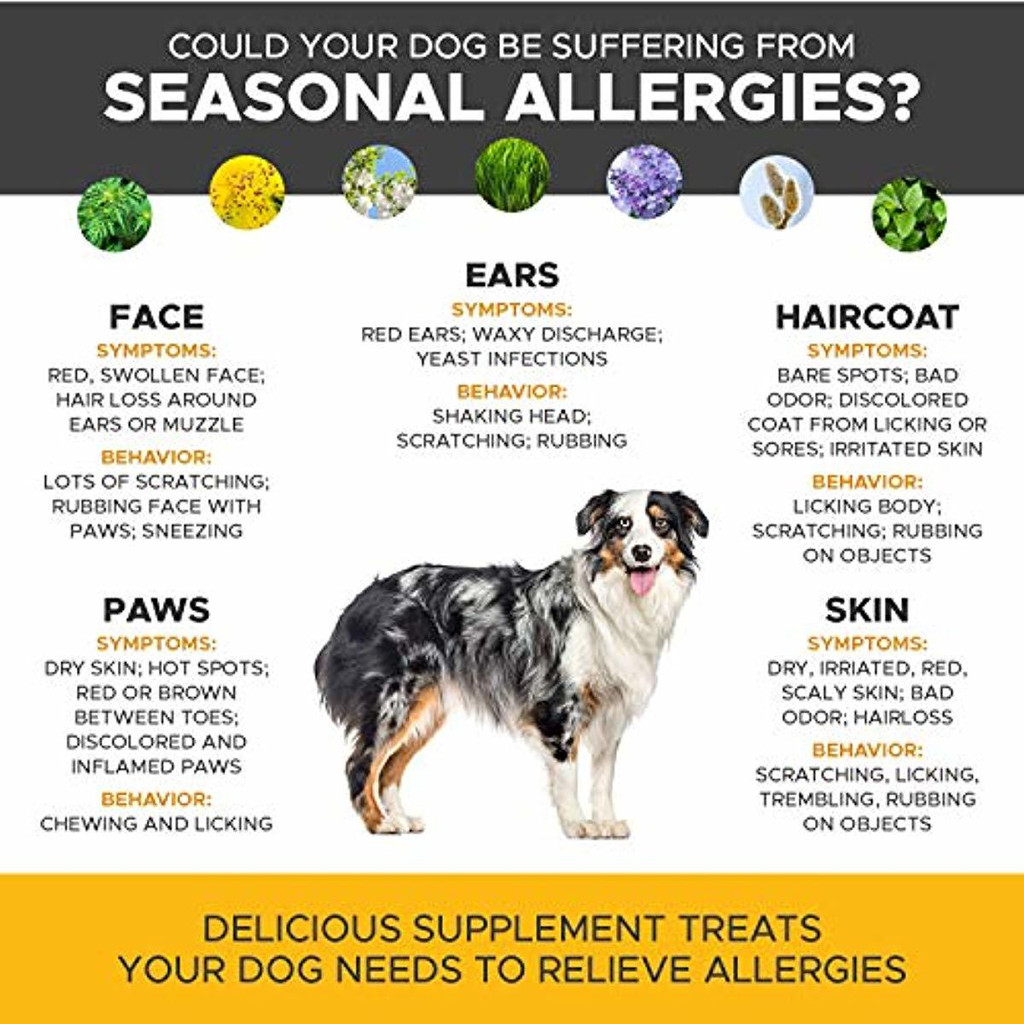 PetHonesty Allergy Relief Immunity Supplement for Dogs (90 Count) 9.5oz, 270g
