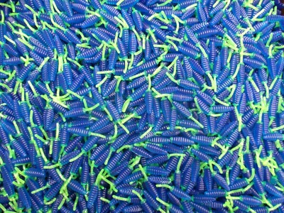 50 BLUE CHARTREUSE 1.5'' RAT Tail BEETLES Crappie Fishing Lures Panfish Bream   