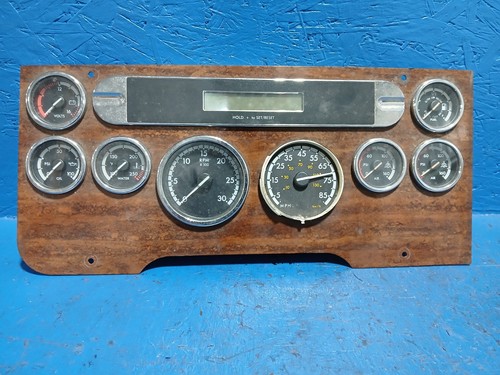 FREIGHTLINER CASCADIA INSTRUMENT CLUSTER DASH PANEL A22-61849-101 - 52125