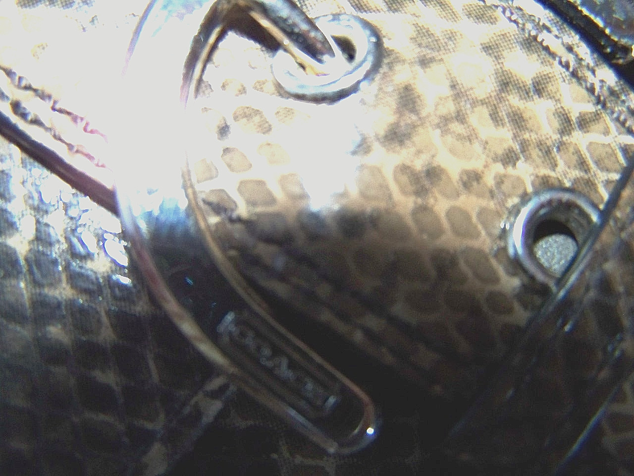 Coach Snake Python Embossed Wallet Brown Black Ta… - image 12