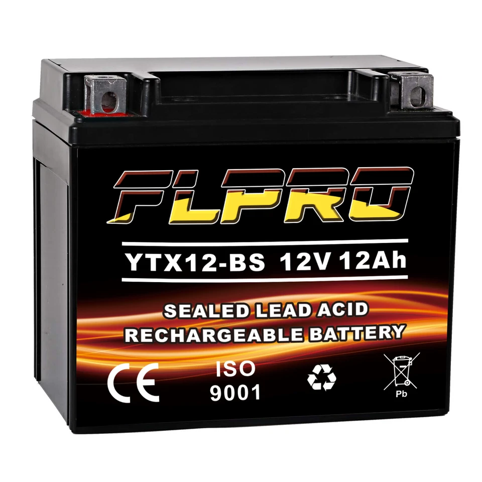 YTX12-BS Battery Sealed AGM for Kawasaki Ninja ZX-6/ZX6R ZX750-J Ninja ZX7R/ZX9R Foto 4 de 4