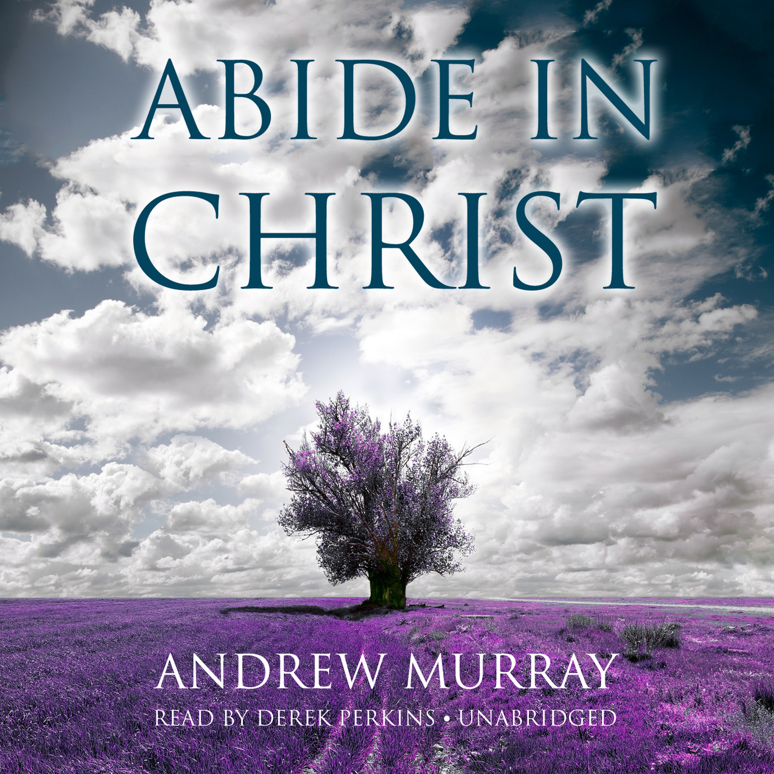 Abide in Christ by Andrew Murray 2015 Unabridged CD 9781481526715