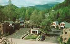 Are Pets Allowed at Buckhorn Inn? An In-Depth Guide for Pet Owners 10 GATLINBURG TN TENNESSEE PARK MOTEL 1950s VINTAGE POSTCARD 090524 T
