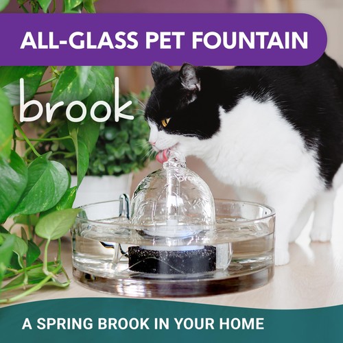 Glass Pet Fountain (90oz/2.7L) – Cat Water Fountain & Small Dog Drinking Foun... - Picture 6 of 6
