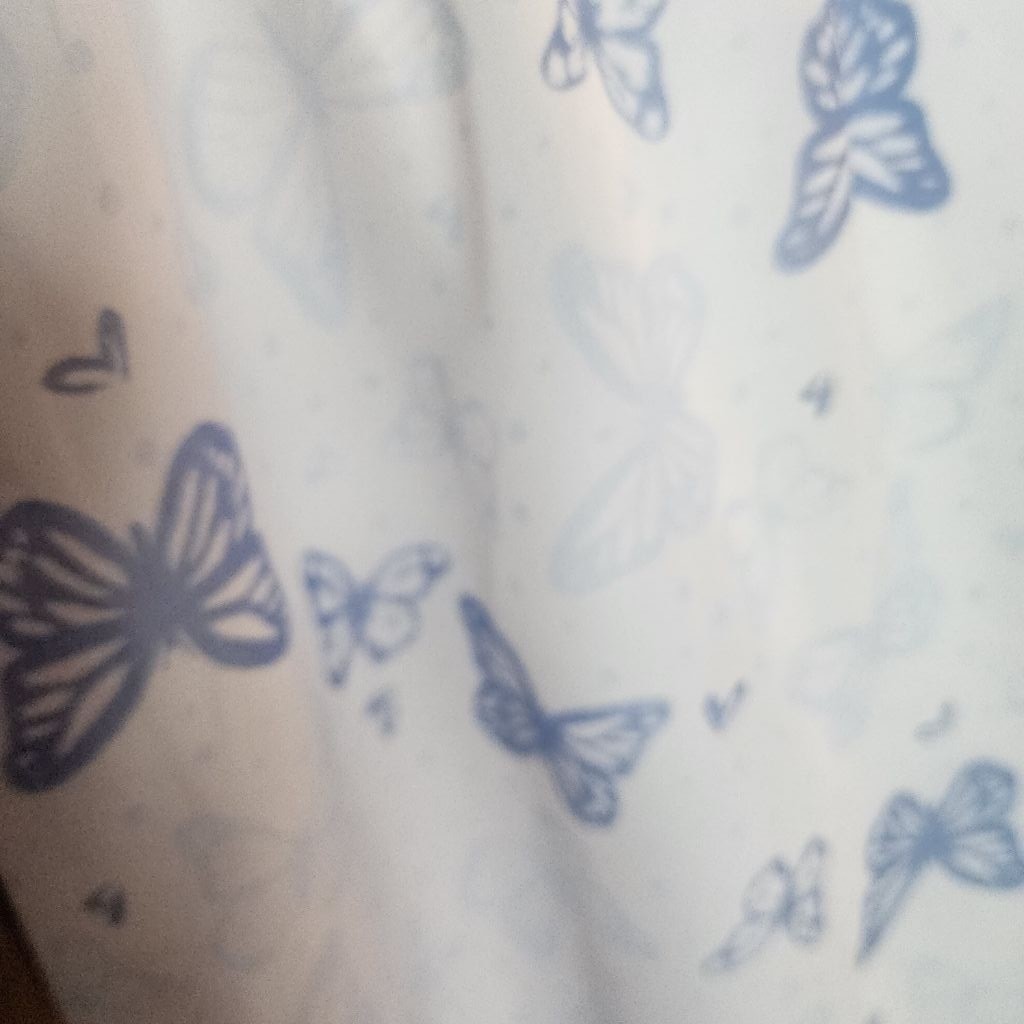 Picture 4 of 4
