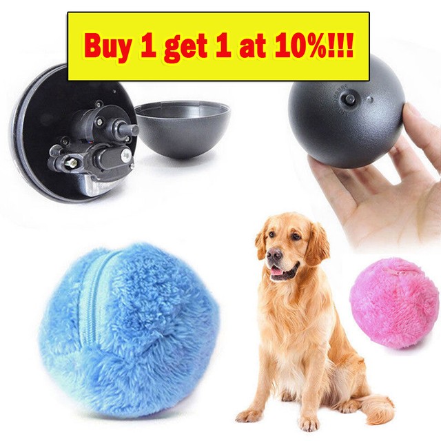 active rolling ball dogs