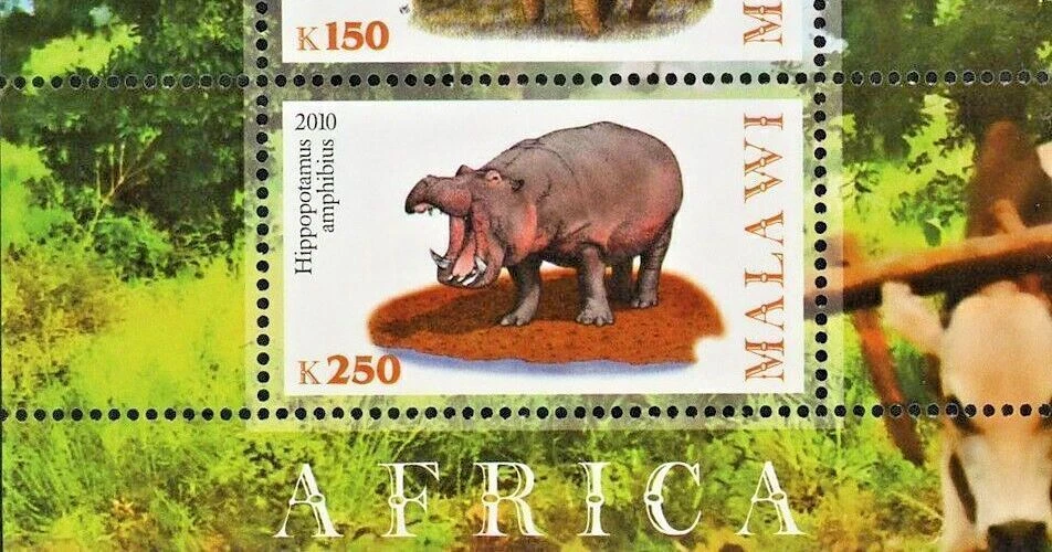 Malawi Africa Rhino Hippo Wild Animal Souvenir Sheet of 2 Stamps Mint NH - Image 3 of 4