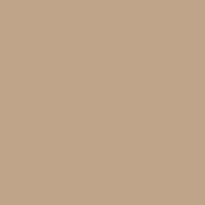 Nevis Wall Wizard Wood Filler Premium Quality, Waterproof, Int/Ext 500 ml/940g