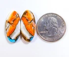 100% Natural Kingman Spiny Oyster Turquoise Pair Oval Cabochon Gemstone BU=164