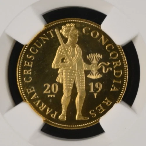 2019 Netherlands Gold Ducat NGC PF-67 Ultra Cameo mintage 798  0.11 AGW