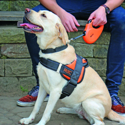 retractable dog lead 15m