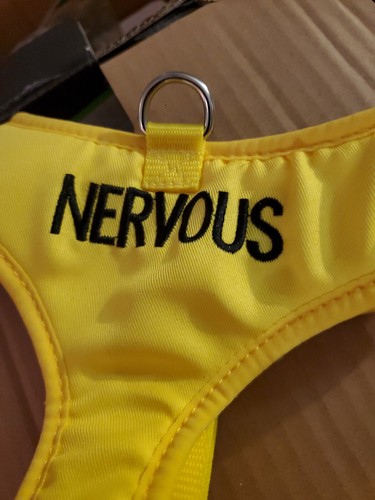 Dexil NERVOUS Yellow Padded Pet Dog Vest Harness  - Picture 6 of 8