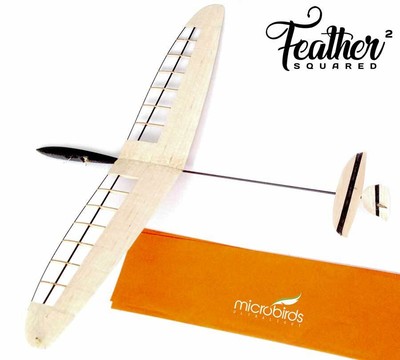 micro rc glider