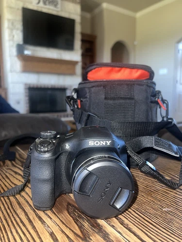 Sony Cyber-shot DSC-H300 20.1 MP Digital Camera - Black