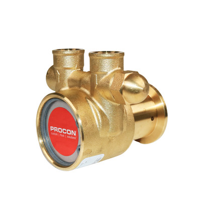 PROCON 112A100F11BA - 3/8'' NPT  Brass Rotary Vane Pump Series 2