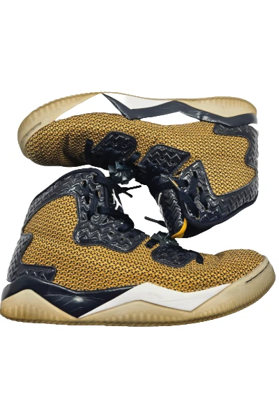 Jordan Air Spike Forty Dunk From Above for sale  display picture 1