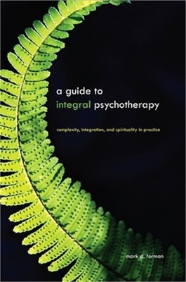 A Guide to Integral Psychotherapy: Complexity, Integration, and Spirituality in