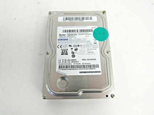 Lenovo 40Y9036 Samsung Spinpoint F1 250GB 7200RPM SATA-2 8MB 3.5" HDD 14-3