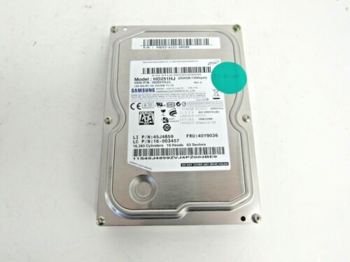 Lenovo 40Y9036 Samsung Spinpoint F1 250GB 7200RPM SATA-2 8MB 3.5" HDD   14-3 - Afbeelding 1 van 4