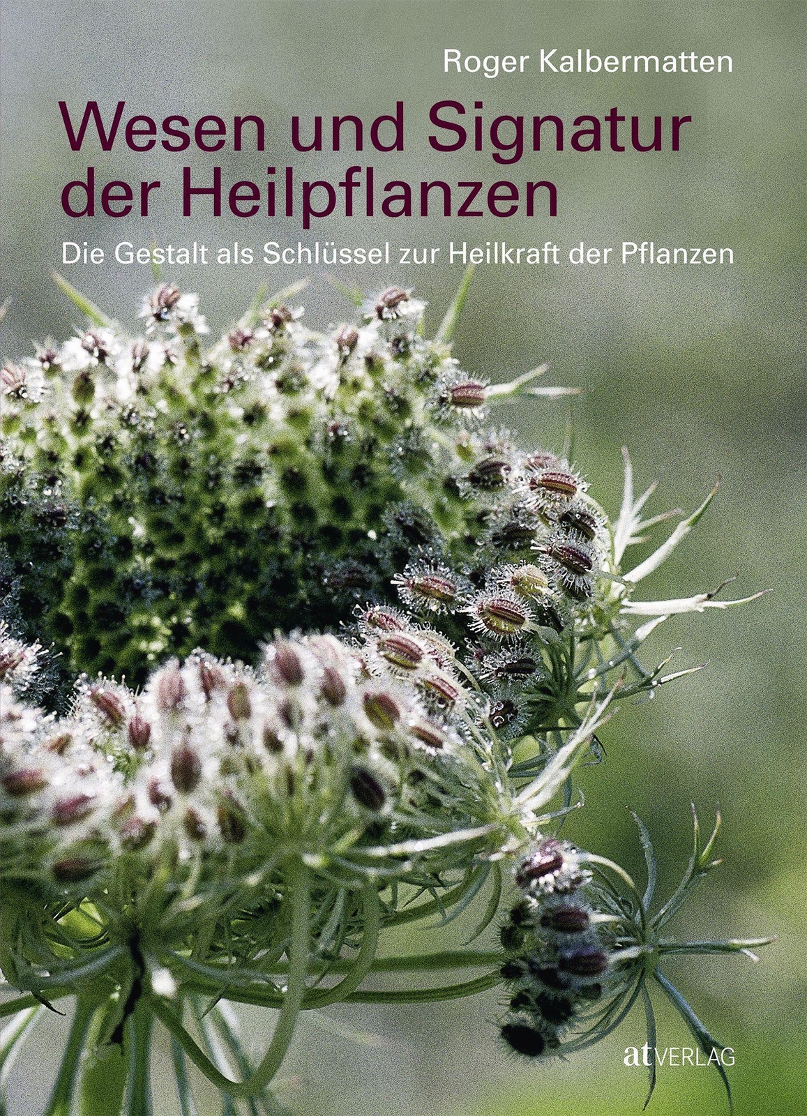 Thumbnail - Roger Kalbermatten | Wesen Und Signatur Der Heilpflanzen | Buch |
