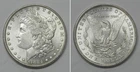 X7114  1884 Morgan Dollar, Choice/Gem BU