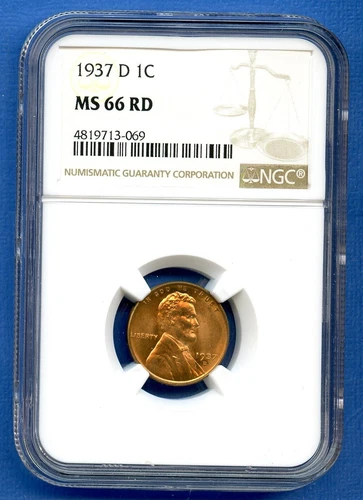 1937 D NGC MS66RD Lincoln Wheat Cent 1c Penny US Mint Coin 1937-D MS-66 RD