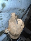 Afbeelding 2 van 5